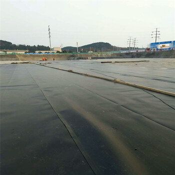 四川全新1.0mmhdpe土工膜价格