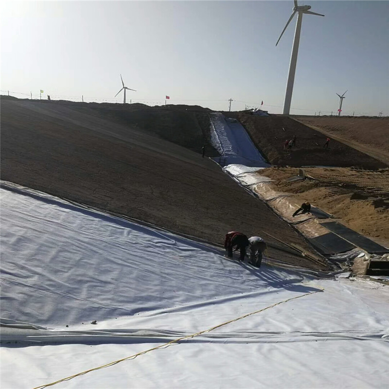 浙江0.5mm厚河道防渗膜价格