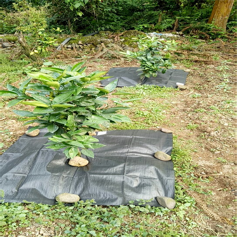 苗圃园1米宽防草布的铺盖方法