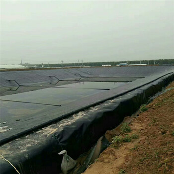 重庆全新料土工膜污水处理全新料土工膜的焊接宽度