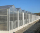 阳光板温室工程承建