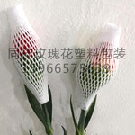 常年供应云南昆明玫瑰花防护网套花蕾保护网
