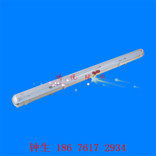 LED三防灯外壳套件配件中山LED工厂灯1.2米双管单管图片2