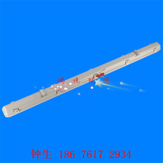 防抖三防灯1.2米单管双管LED工厂灯防水防潮阻燃耐高温低温图片4
