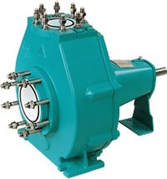 Wernert-pump塑料泵NE系列