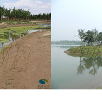 水绵爆发怎么办？生物水绵治理技术来解忧