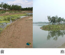 生态浮岛在治理景观水体上具有较大的应用前景图片