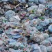 洪梅镇废旧塑料回收公司