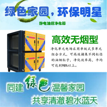 工业油雾净化器立式卧式静电除尘设备