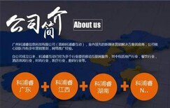 惠州营销，公众号运营，推广公司图片3