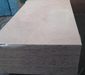细木工板、大芯板、桐木芯/杨木芯细木工板、马六甲芯细木工板、细木工板价格