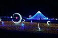温州浪漫城市灯光节展览活动大型机械大象活动租赁