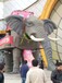 長春巡游機械大象展覽順展打折，互動彩色跑展出租