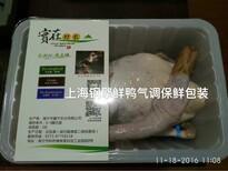 肉馅气调包装机图片0