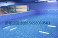广州荔湾区大型水育早教游泳池儿童游泳训练池成人游泳池厂家