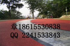 上海普陀区海绵地坪透水地坪胶结料保护剂图片1