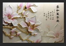 青岛吊顶图案3D/5D背景墙批发价格图片2