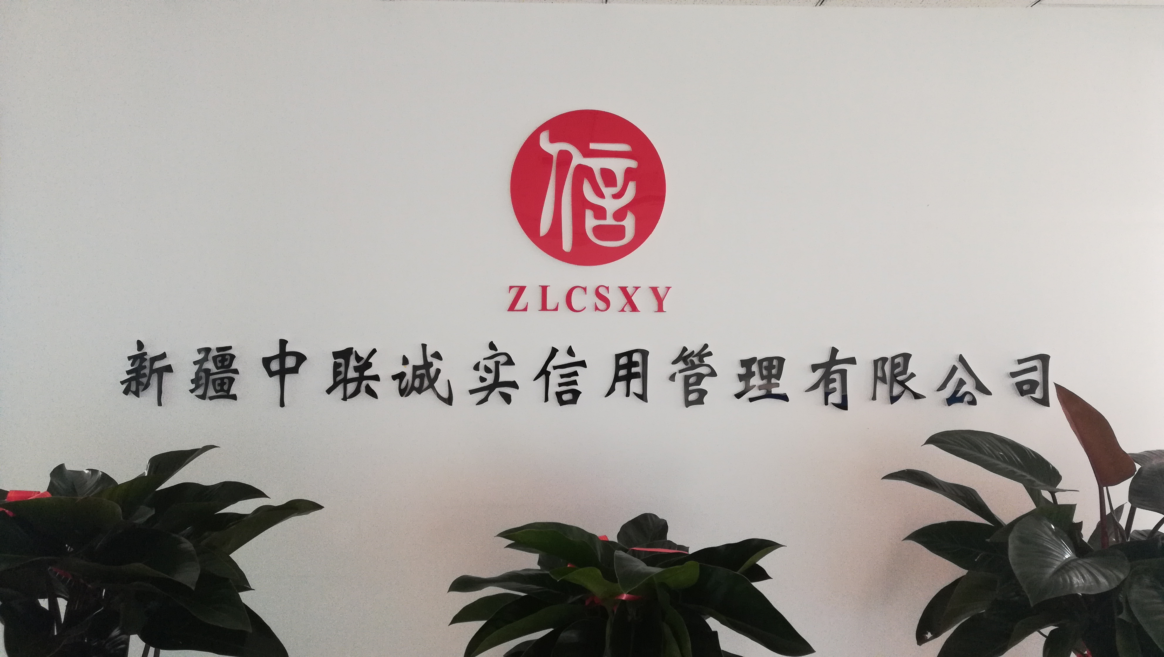 诚信投资控股集团是国企吗(诚信投资控股集团是国企吗还是私企)