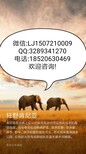 图片0