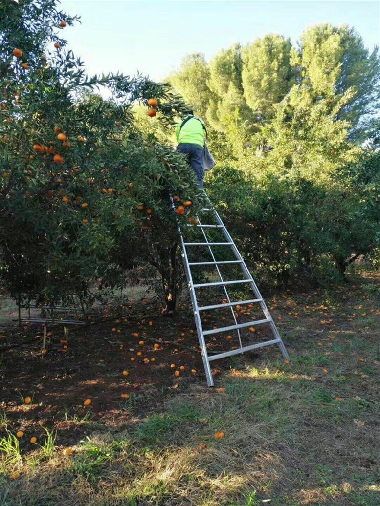 重庆黔江境外劳务派遣年龄限制