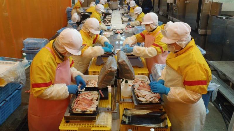 福建龍巖境外勞務(wù)派遣一年能賺多少錢