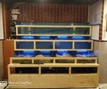 佛山大沥海鲜池公司定做大排档海鲜池厂家佛山海鲜鱼池定做厂家欢迎咨询