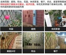 潍坊安丘pvc护栏紫竹子花园网格护栏竹篱笆户外围栏栅栏