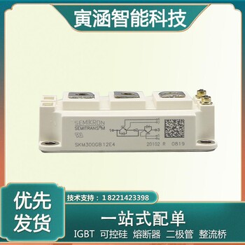 西门康SKM300GB12E4IGBT模块/功率模块欢迎咨询