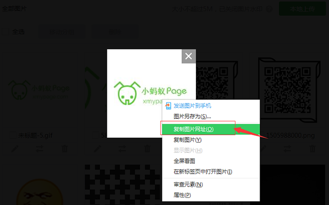 编辑器小蚂蚁