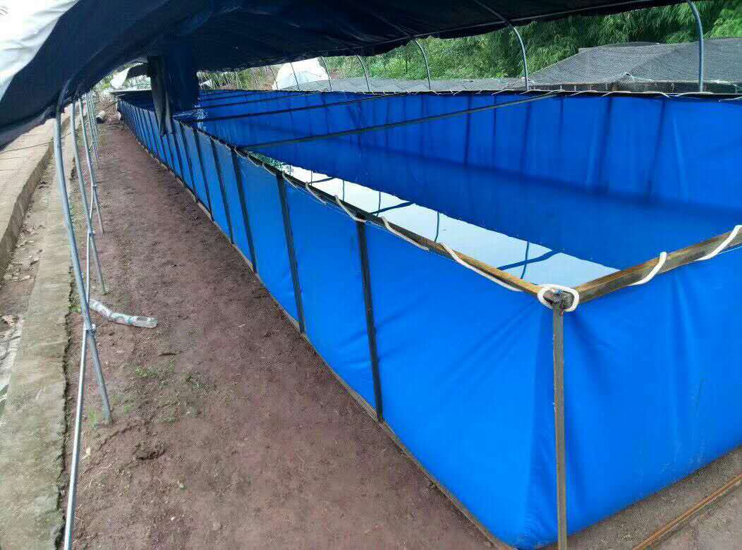 水产养殖篷布鱼池帆布蓄水池特别供应