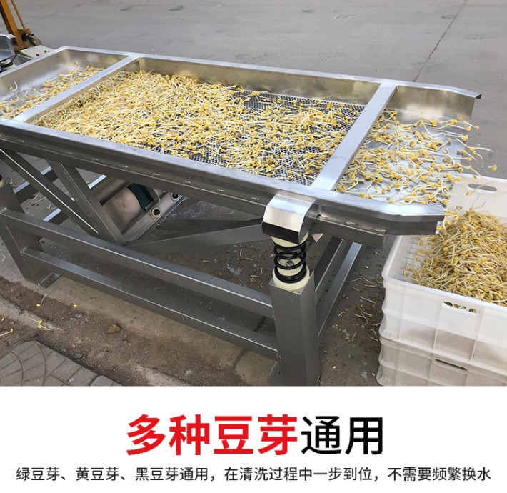 鑫圣阳光豆芽去皮机黄豆芽脱皮机通用型豆芽去皮机