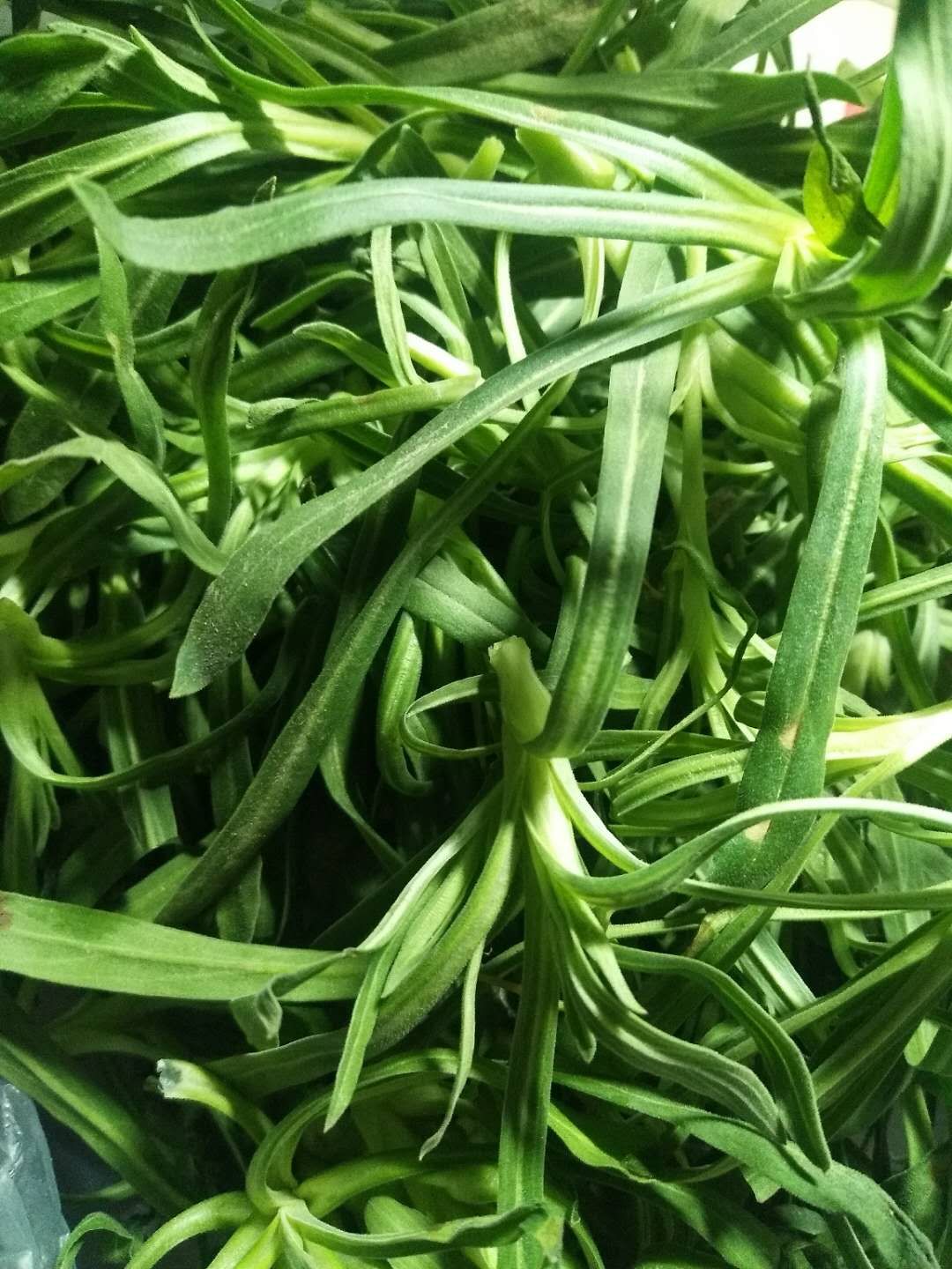 细面条野菜图片