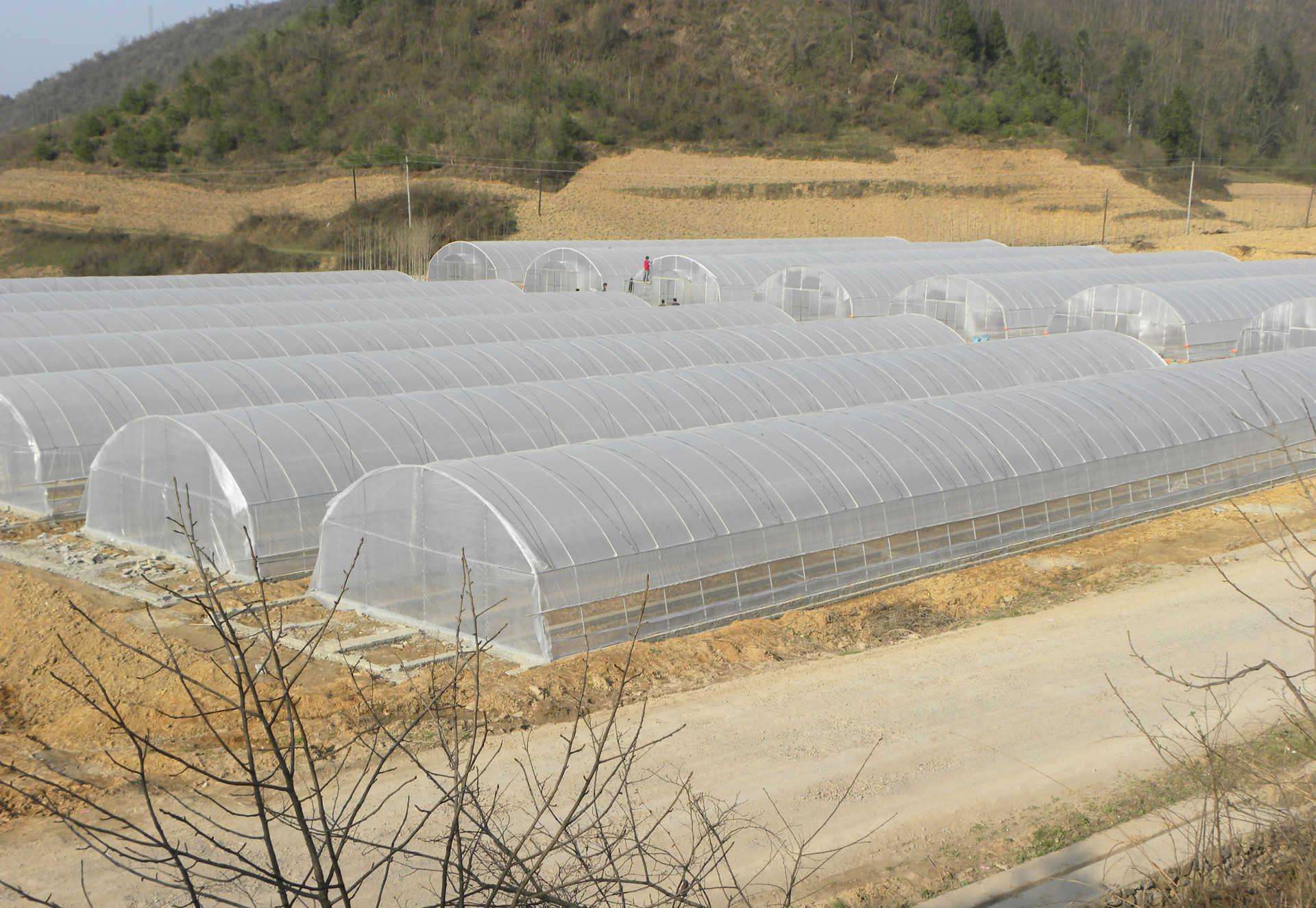 養殖大棚骨架鋼管養雞鴨豬鵝大棚雞舍設備戶外養殖場雞棚搭建家用