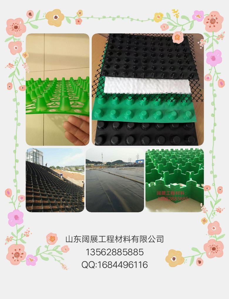 排水板批发/2公分蓄排水板/塑料排水板规格齐全