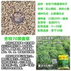 浙江丽水常青牧草种子厂家出售进口割了再发牧草种子国内