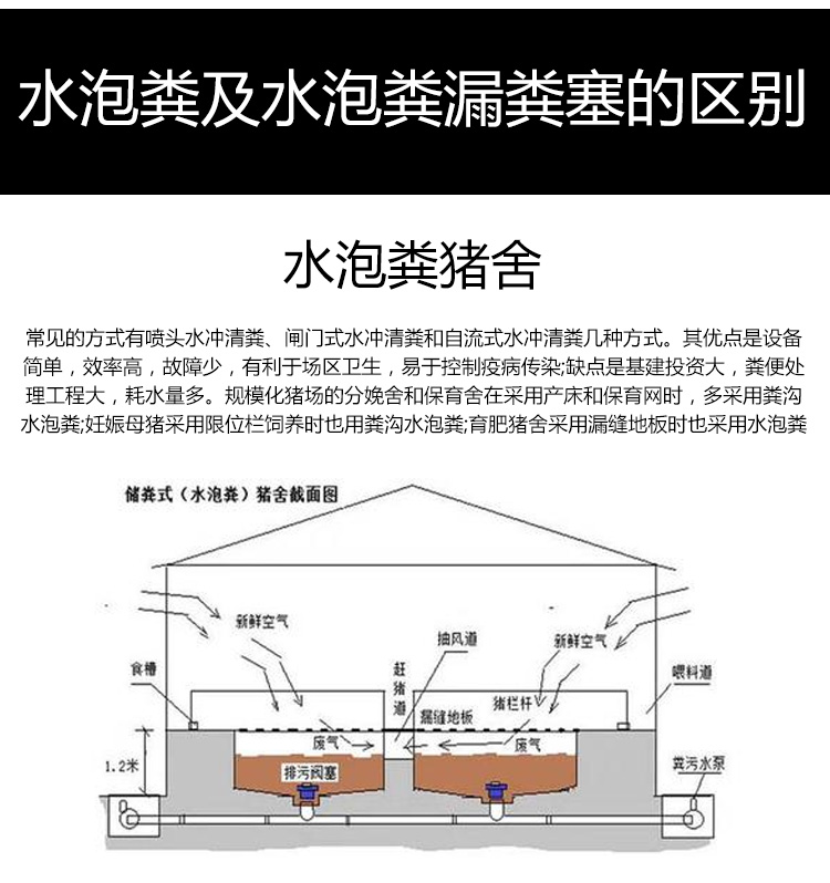 母猪产房排粪沟设计图图片