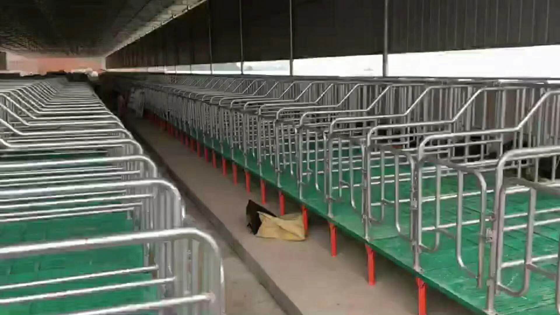 母猪限位栏复合板母猪限位栏多少钱一个限位栏安装