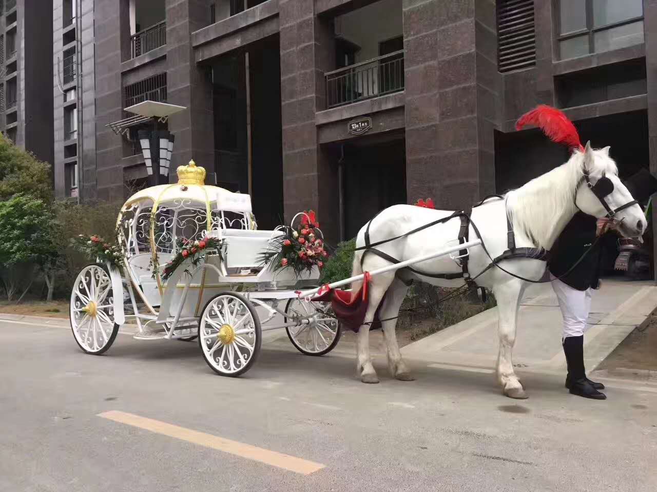 马车出租南瓜马车出租婚庆马车出租租赁