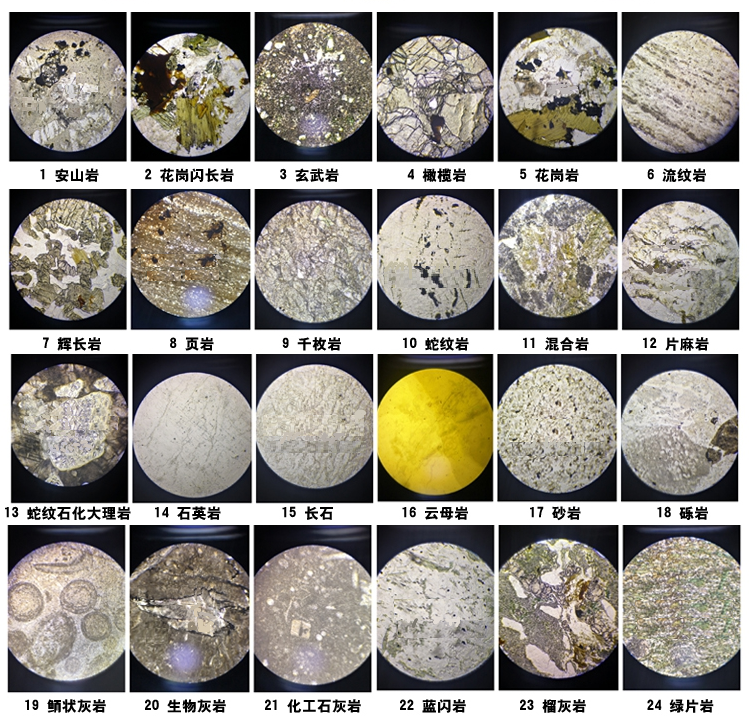 大科教学岩石磨片薄片24种套装偏光显微镜配件矿物研究标本