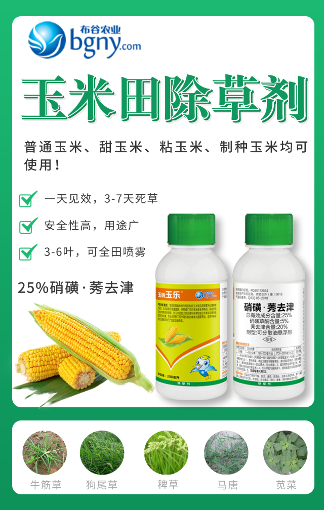 玉米专用除草剂种类图片