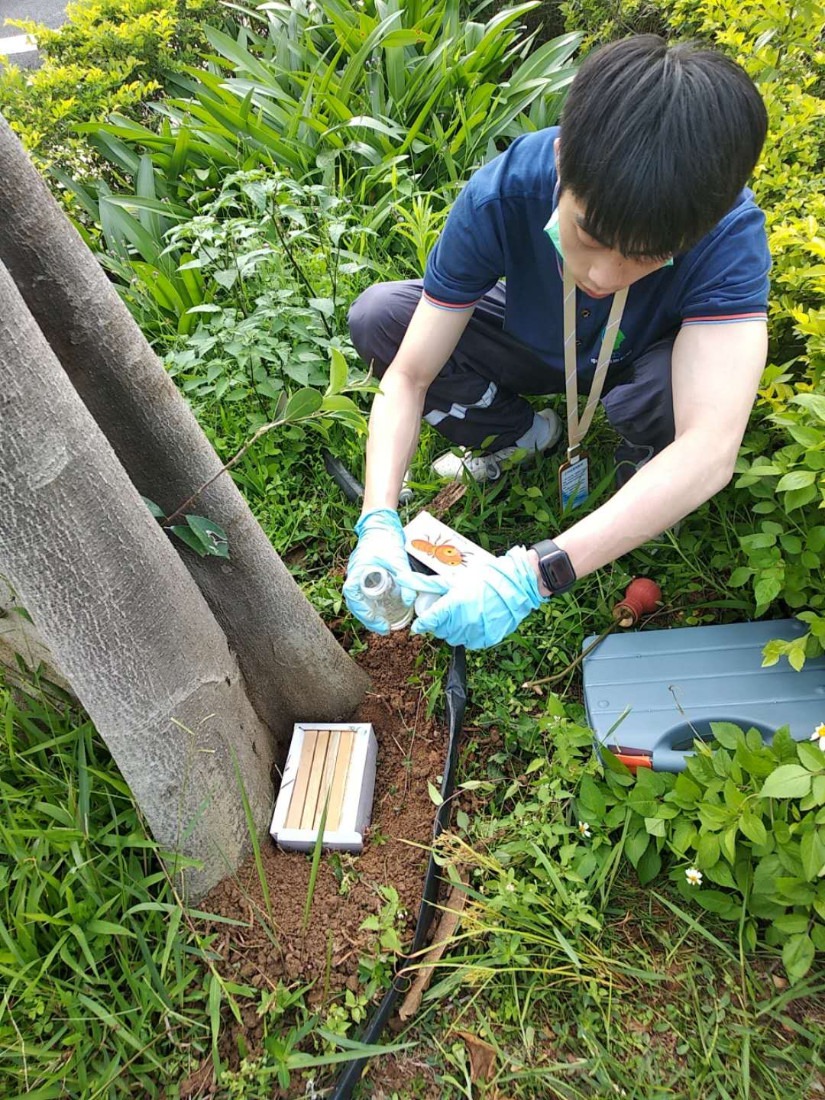 广州除白蚁,广州灭白蚁,市内免费上门检查