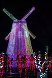 全国大型灯光展制作厂家造型图片3