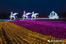 全国大型灯光展制作厂家造型图片5