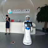 机器人租赁机器人礼品机器人研发定制图片5