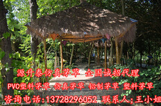 图片0