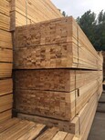 阜阳木结构建筑用木材图片2