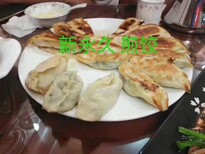 江苏扬州全自动水饺机餐饮设备图片1