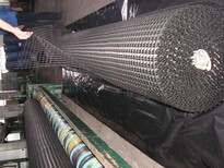 河北秦皇岛市钢塑土工格栅厂家GSZ20-100KN钢塑土工格栅图片2