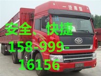 承接东莞到来宾的物流专线有限公司图片0