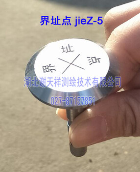 供应房产测量界址点权属304不锈钢界址钉地籍产权测绘点jieZ-5